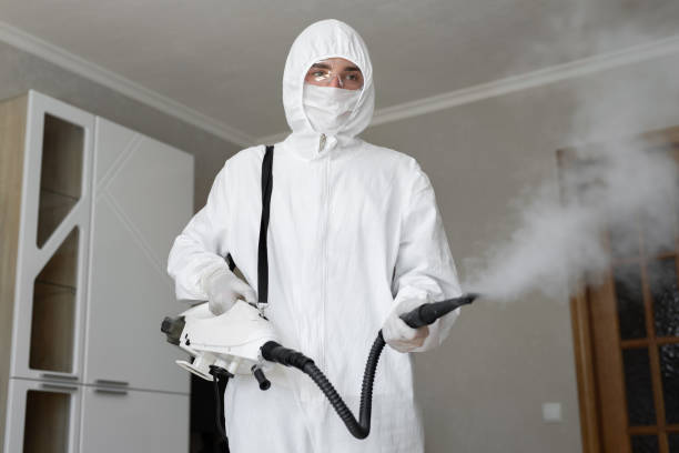 Professional Mold Removal in Wonder Lake, IL